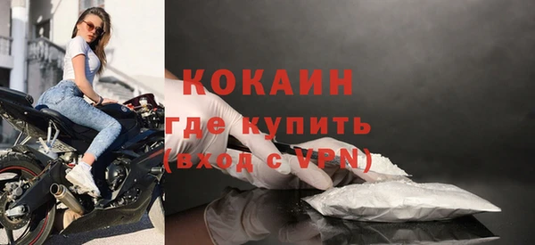 винт Каменка