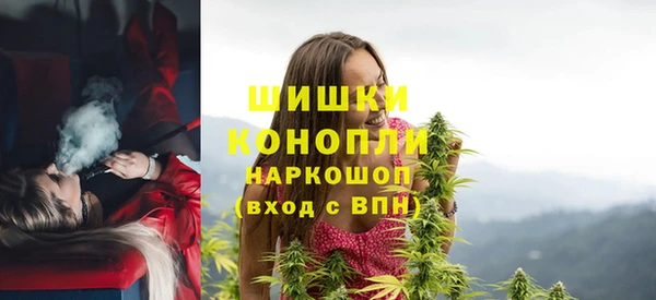 СК Каменногорск
