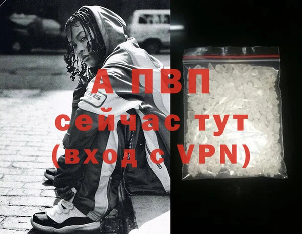 винт Каменка