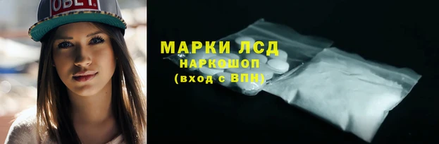 винт Каменка